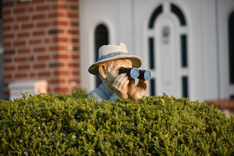 mann schaut mit fernglas über seine hecke